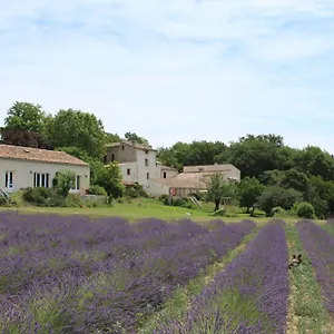 Maison d'hôtes Les ânes De